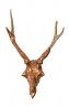 Scaly Soldier - Deer skull, copper shim